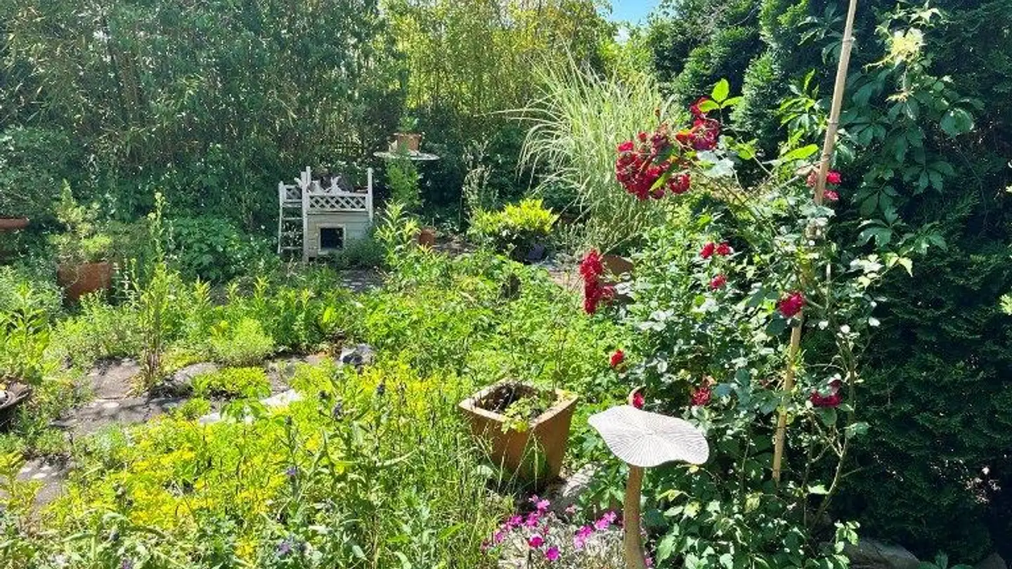 Casa singola in vendita - Hafenstrasse 17, 5225 Bözberg - Photo 3