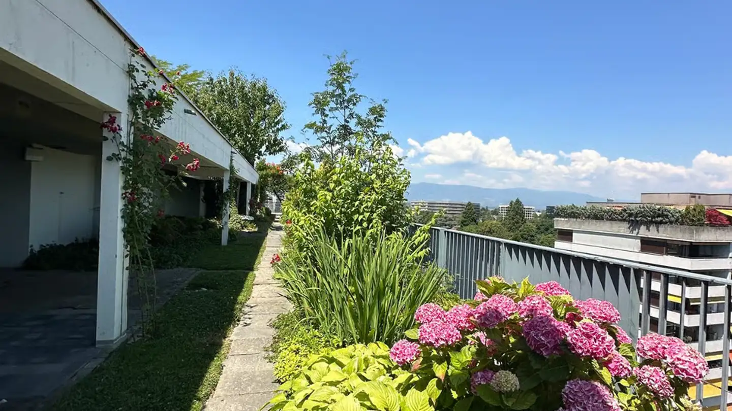Apartment for rent - 1202 Genève