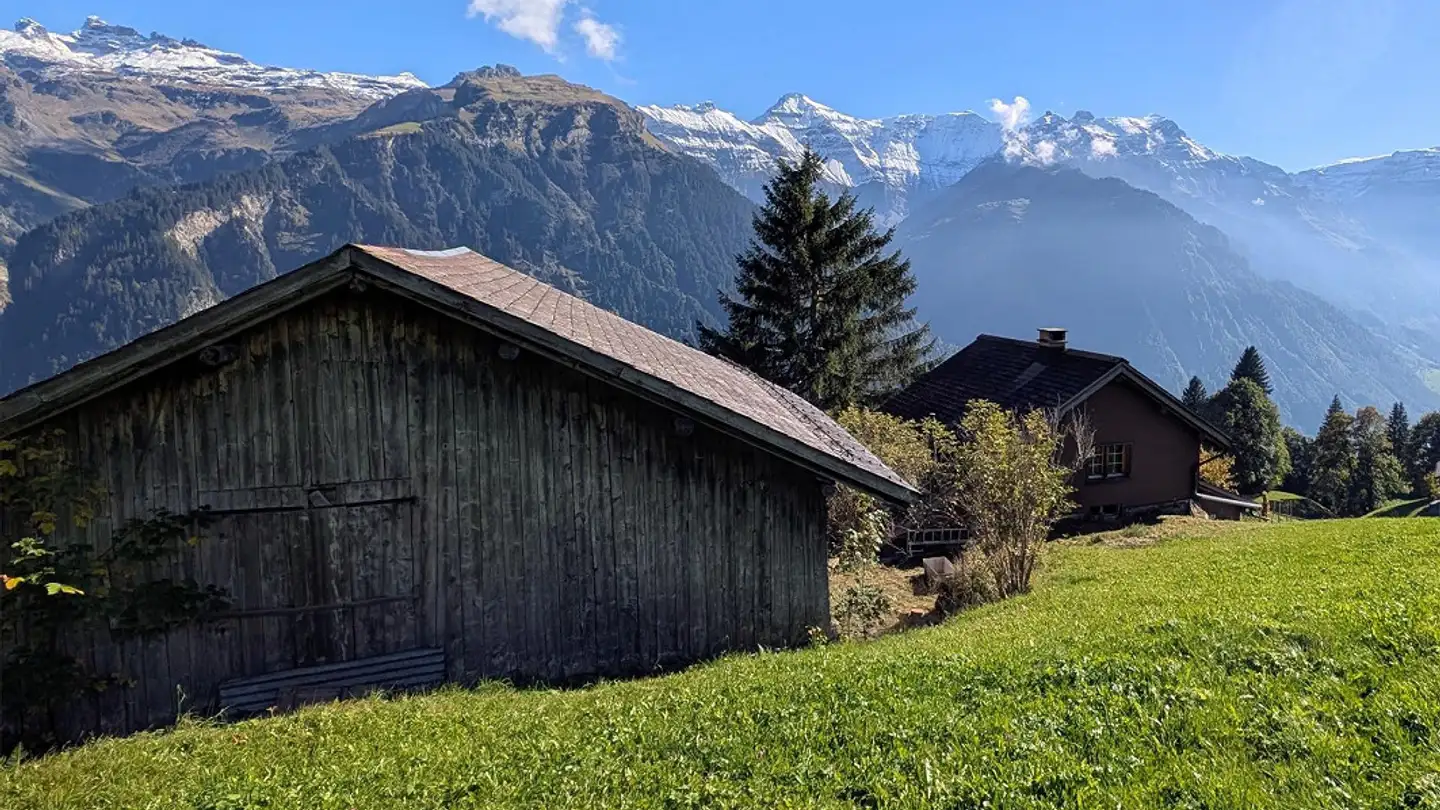 Farm for sale - 8784 Braunwald - Photo 2