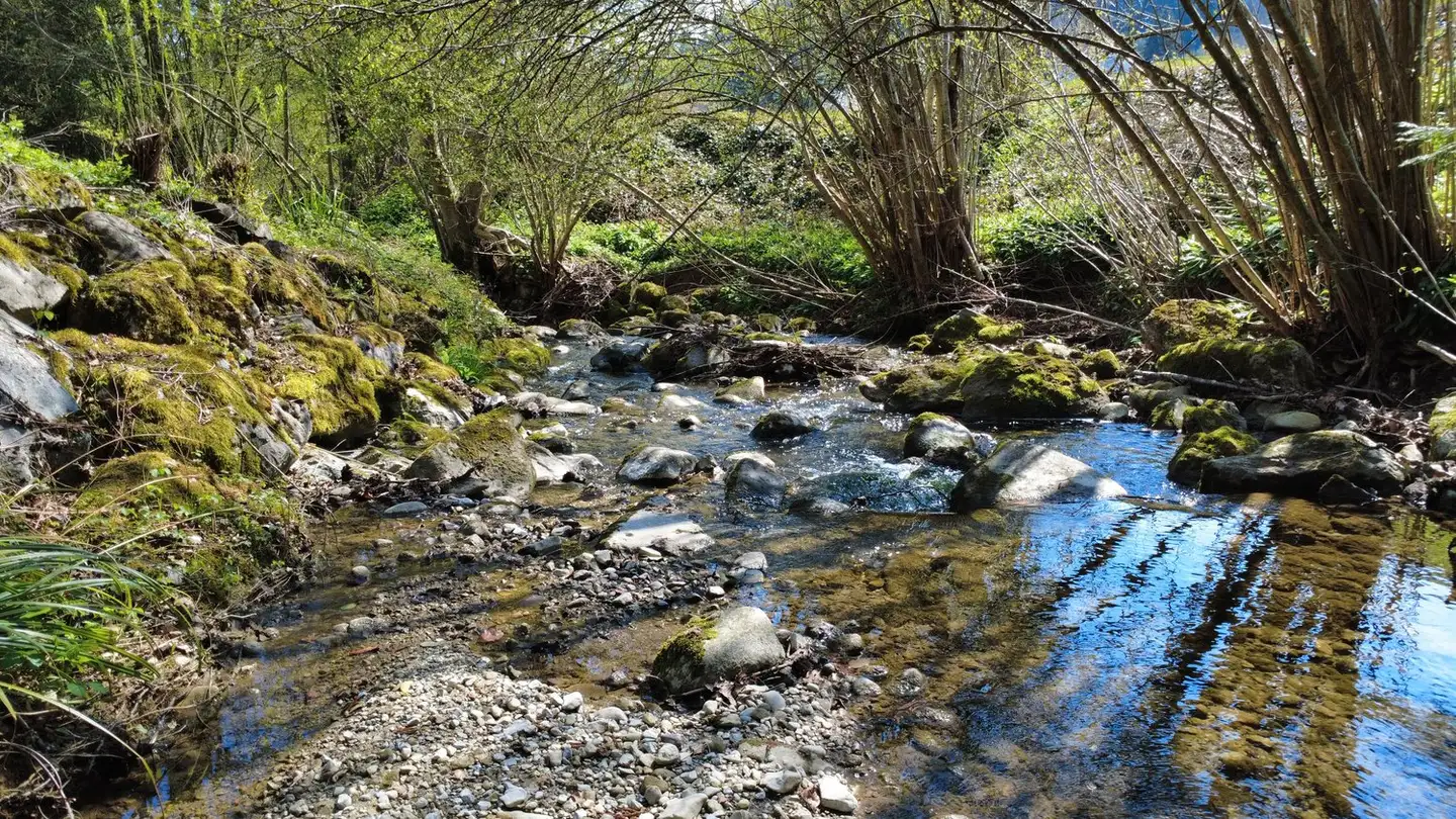 Constructible plot for sale - 8808 Pfäffikon SZ - Photo 2