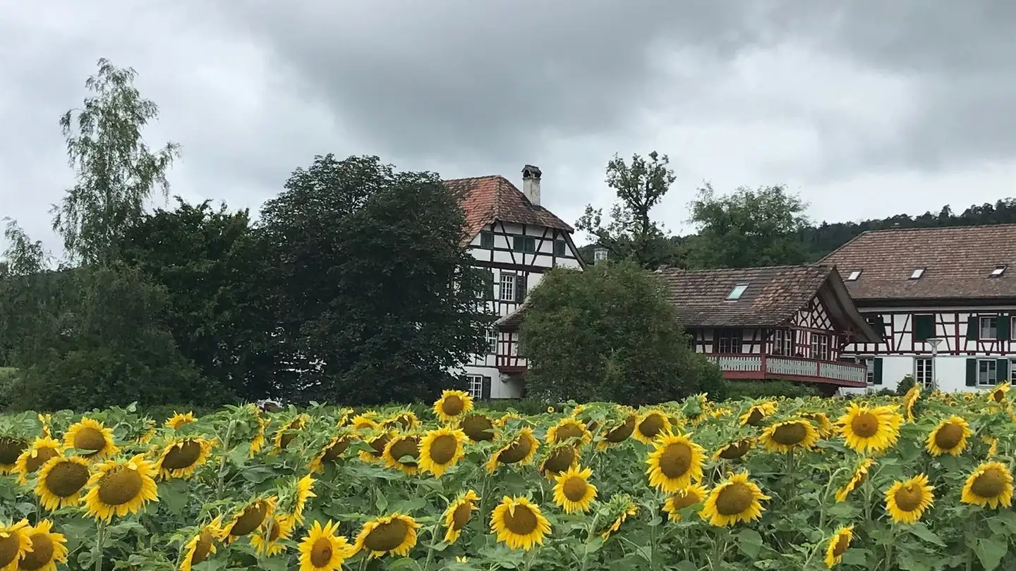 Apartment for rent - Zehntenstrasse 8, 8536 Hüttwilen