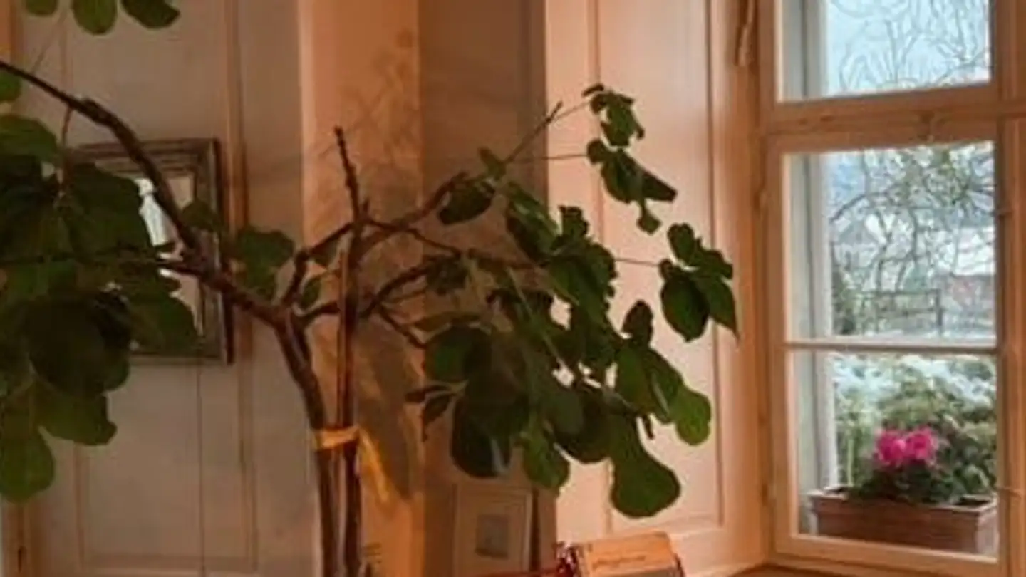 Appartamento in affitto - Zehntenstrasse 8, 8536 Hüttwilen - Photo 3