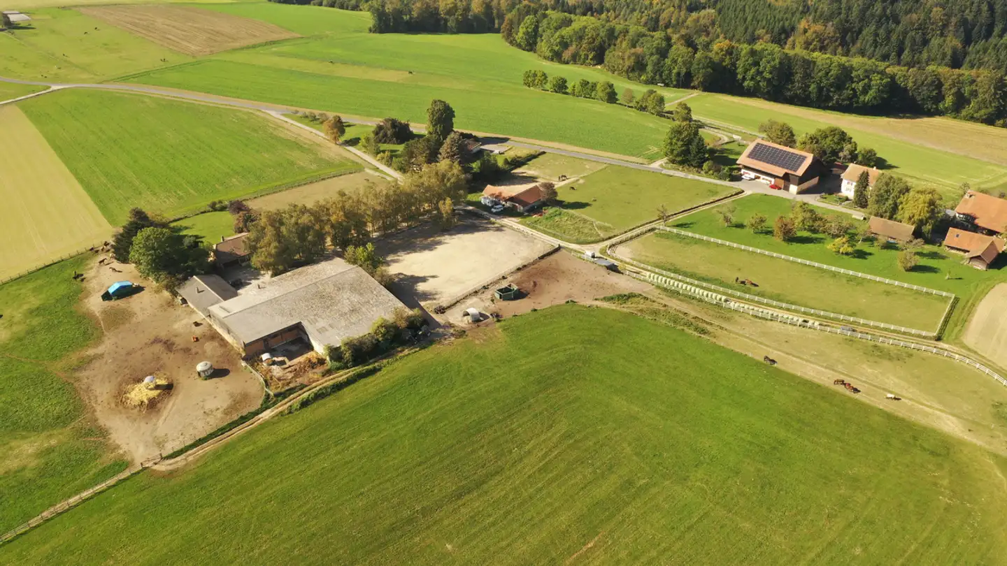 Commerciale in vendita - Route d'Echallens, 1376 Goumoens-la-Ville - Foto 2