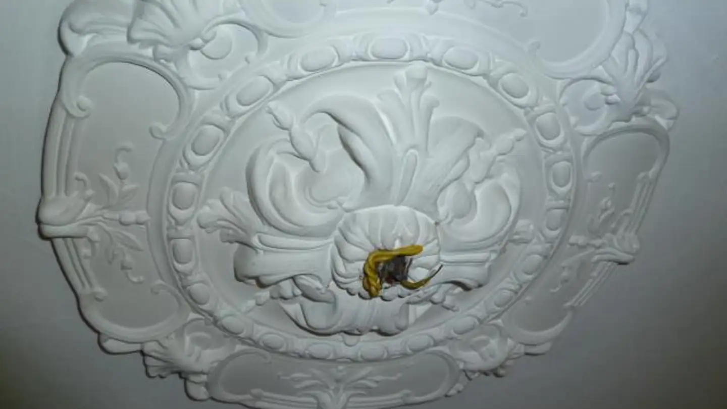 Apartment for rent - Innerer Sonnenweg 5, 9000 St. Gallen - Photo 3