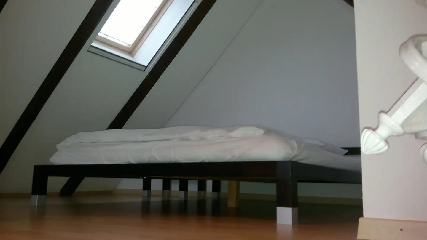 Edificio residenziale in affitto - Seestrasse, 9323 Steinach - Photo 3