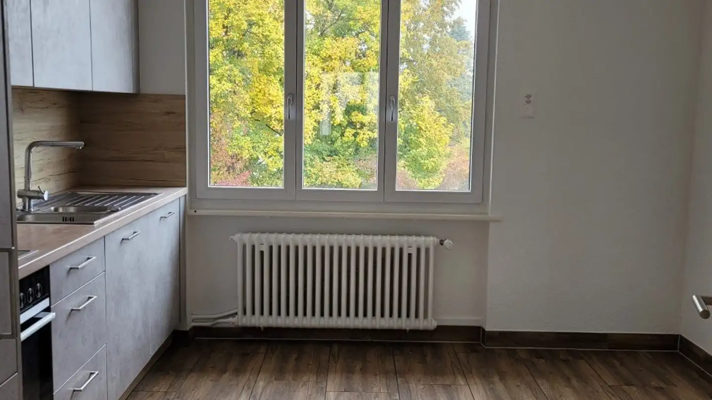 Wohnung mieten - Engestrasse 43, 4500 Solothurn - Foto 4