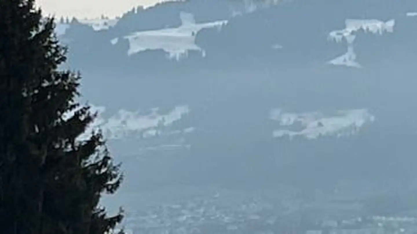 Appartamento in affitto - Lindenhofstrasse 21, 8645 Jona - Foto 2