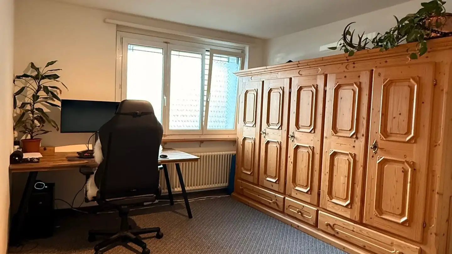 Appartement en terrasse à louer - Adetswilerstrasse 13, 8344 Bäretswil - Photo 3