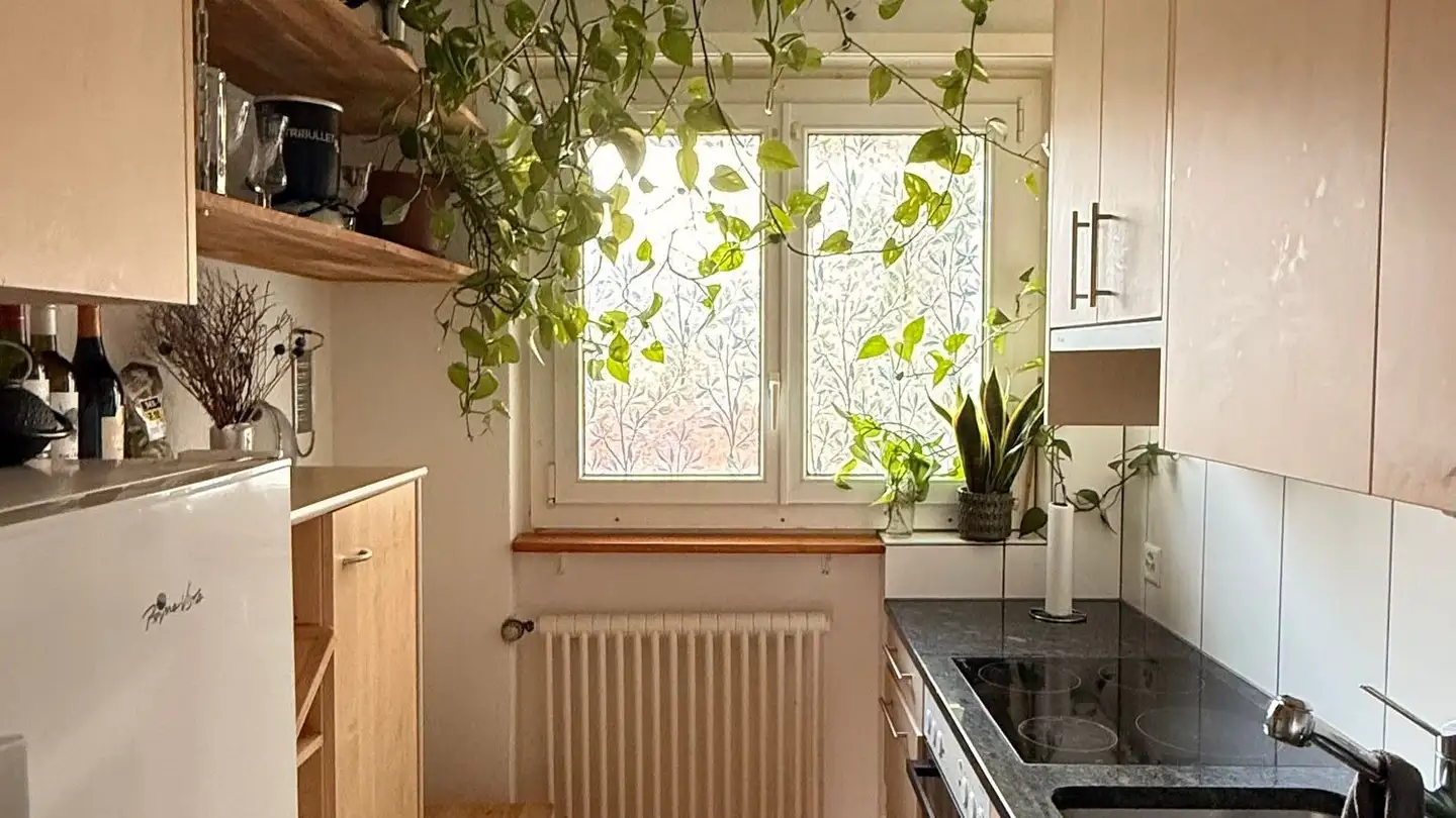 Appartement en terrasse à louer - Adetswilerstrasse 13, 8344 Bäretswil