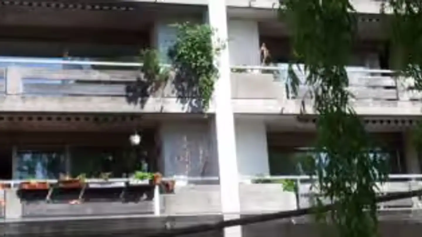 Appartement à louer - Kirschbaumweg 10, 2563 Ipsach