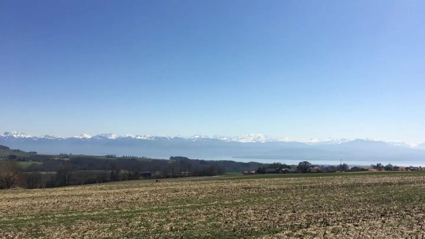 Maison individuelle à vendre - 1269 Bassins - Photo 3