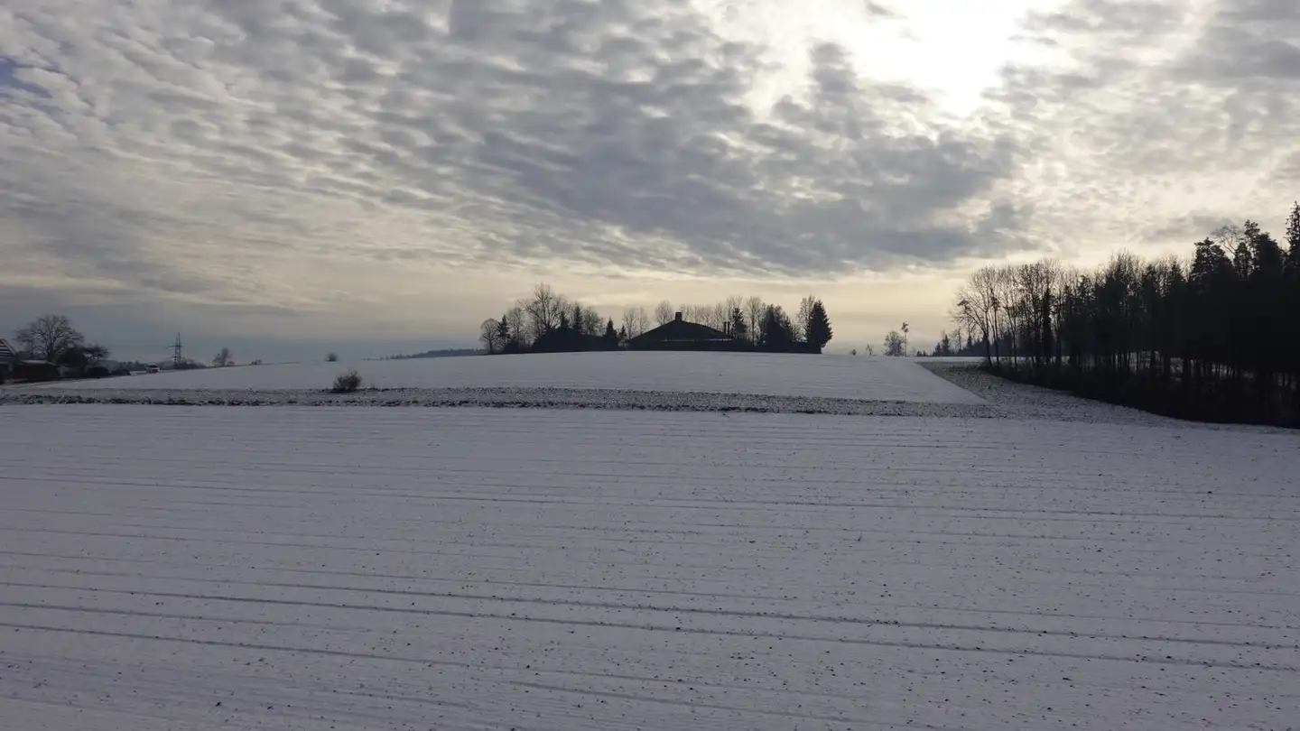 Wohnung mieten - Seuzachstrasse 85, 8412 Riet (Neftenbach) - Foto 3
