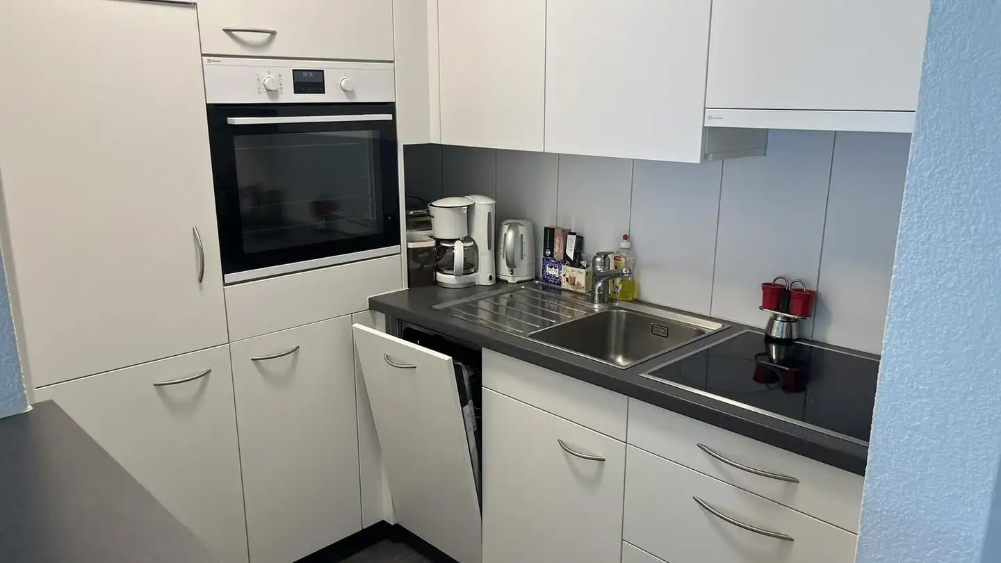 Furnished apartment for rent - 6005 Luzern - Photo 3