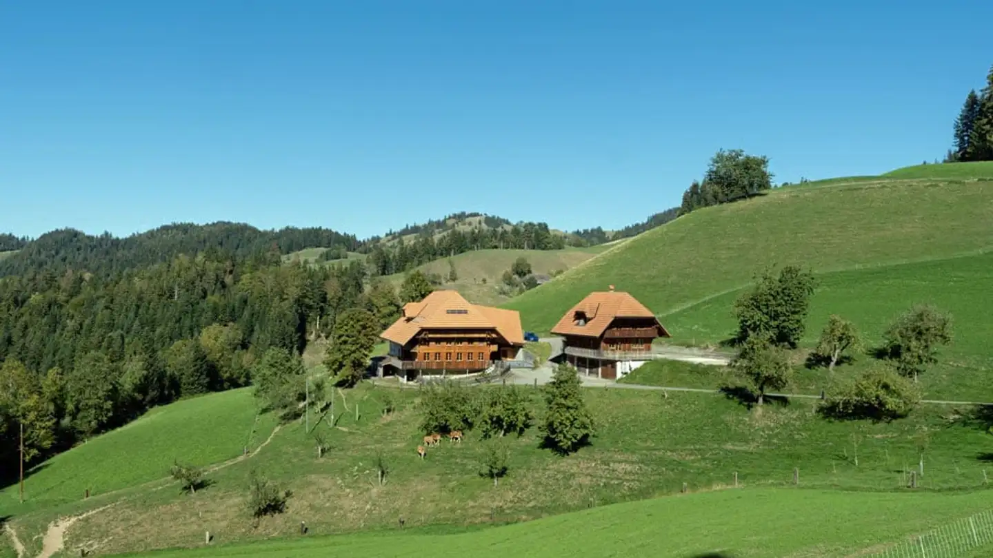Mehrfamilienhaus kaufen - Hinter Geissbühl 509, 3436 Zollbrück