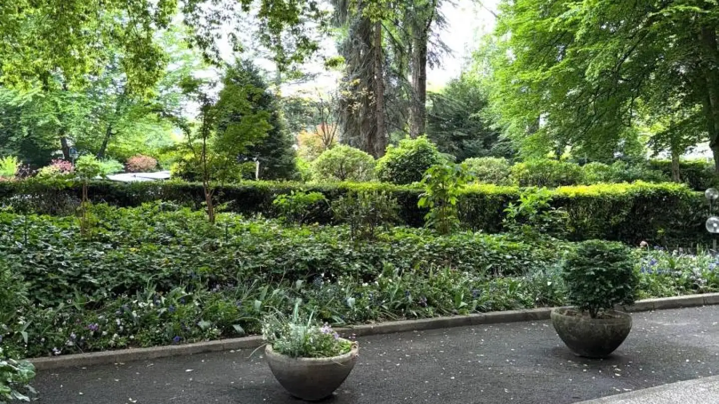 Appartamento in vendita - 1223 Cologny - Foto 2