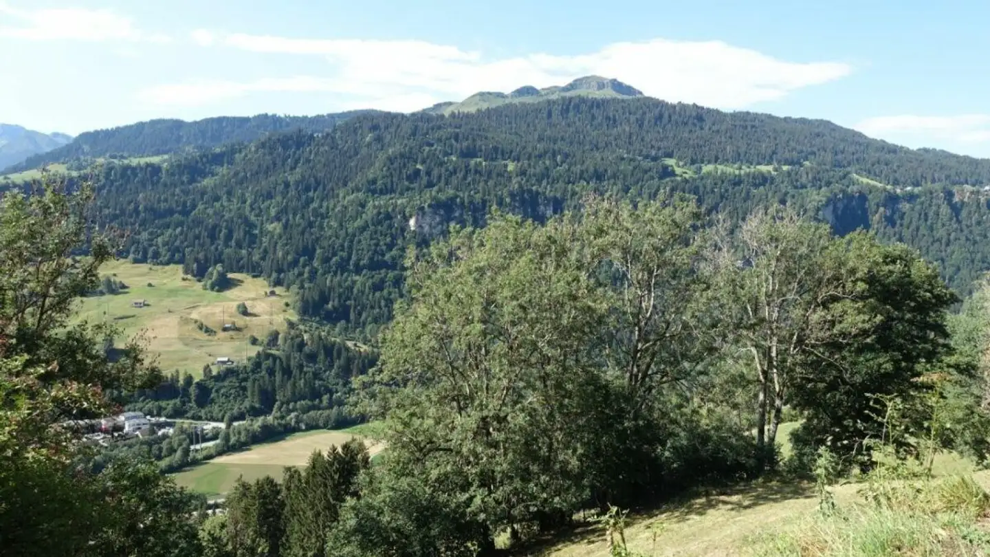 Terrain constructible à vendre - Via Tischinas, 7154 Ruschein - Photo 2