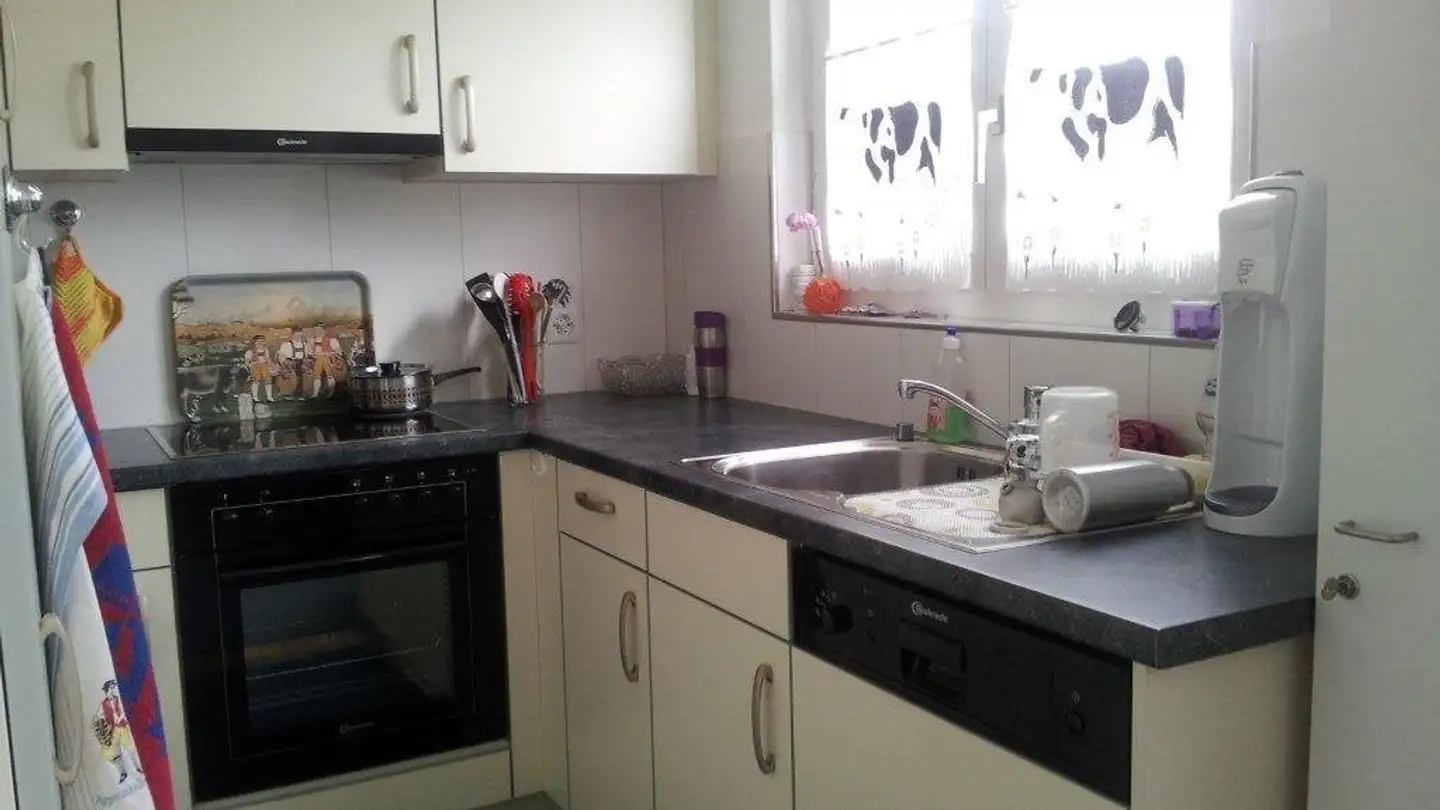 Apartment for rent - Wintermoosstrasse 2, 8583 Sulgen - Photo 3