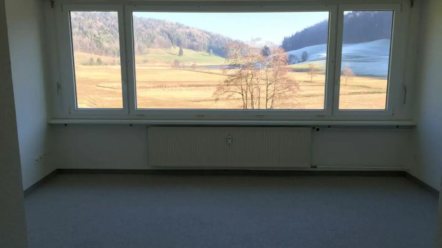 Appartement à louer - Hauptstrasse 110, 9573 Littenheid - Photo 3