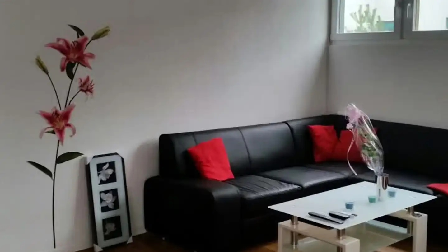 Apartment for rent - Vorstadt 3a, 5623 Boswil - Photo 3