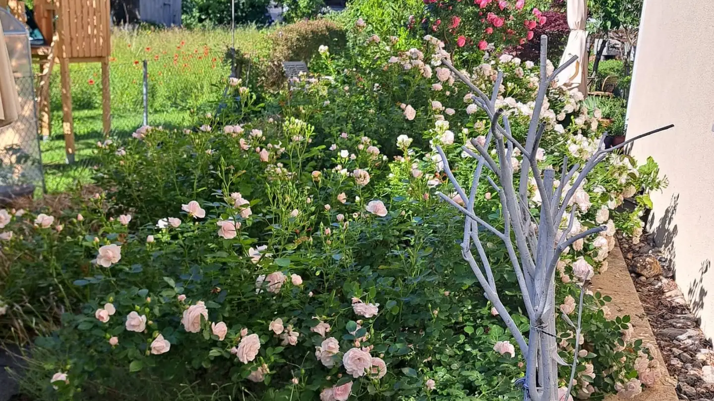 Wohnung kaufen - Falknisstrasse 8, 7324 Vilters - Foto 3