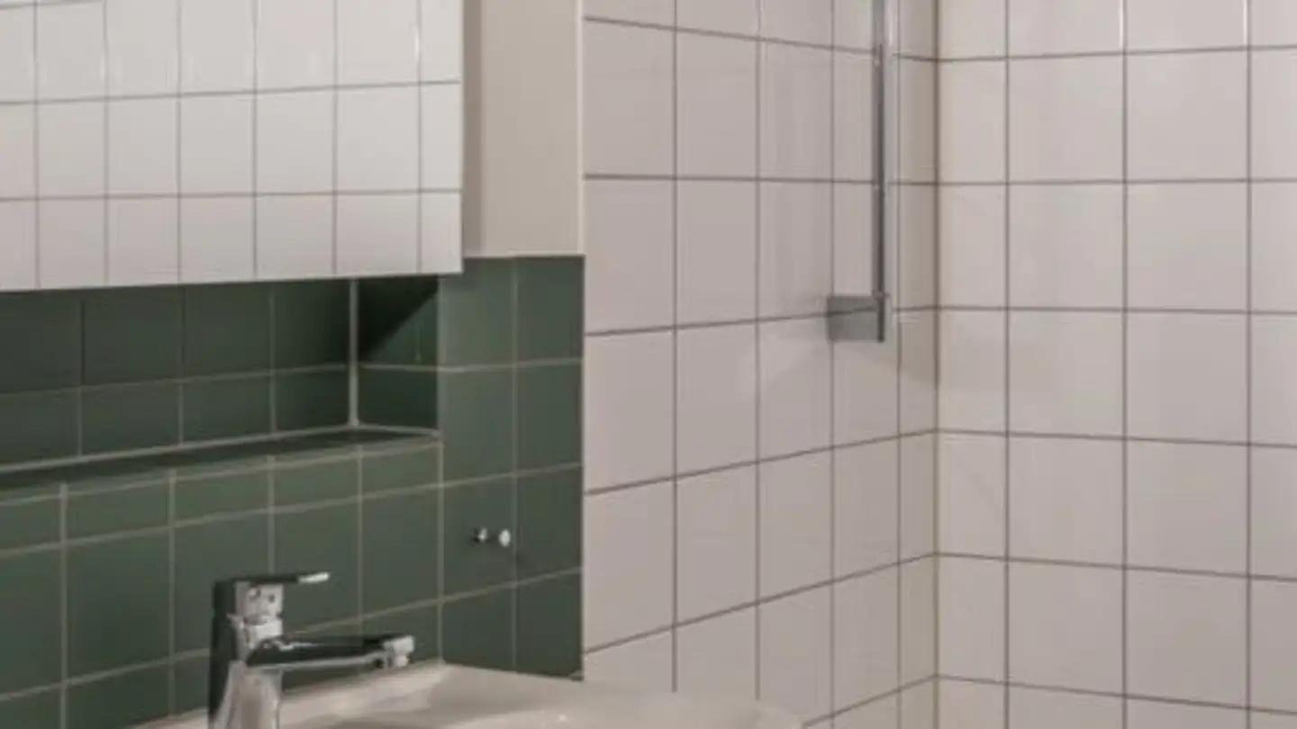 Appartamento in affitto - Hohlstrasse, 8048 Zürich - Foto 3