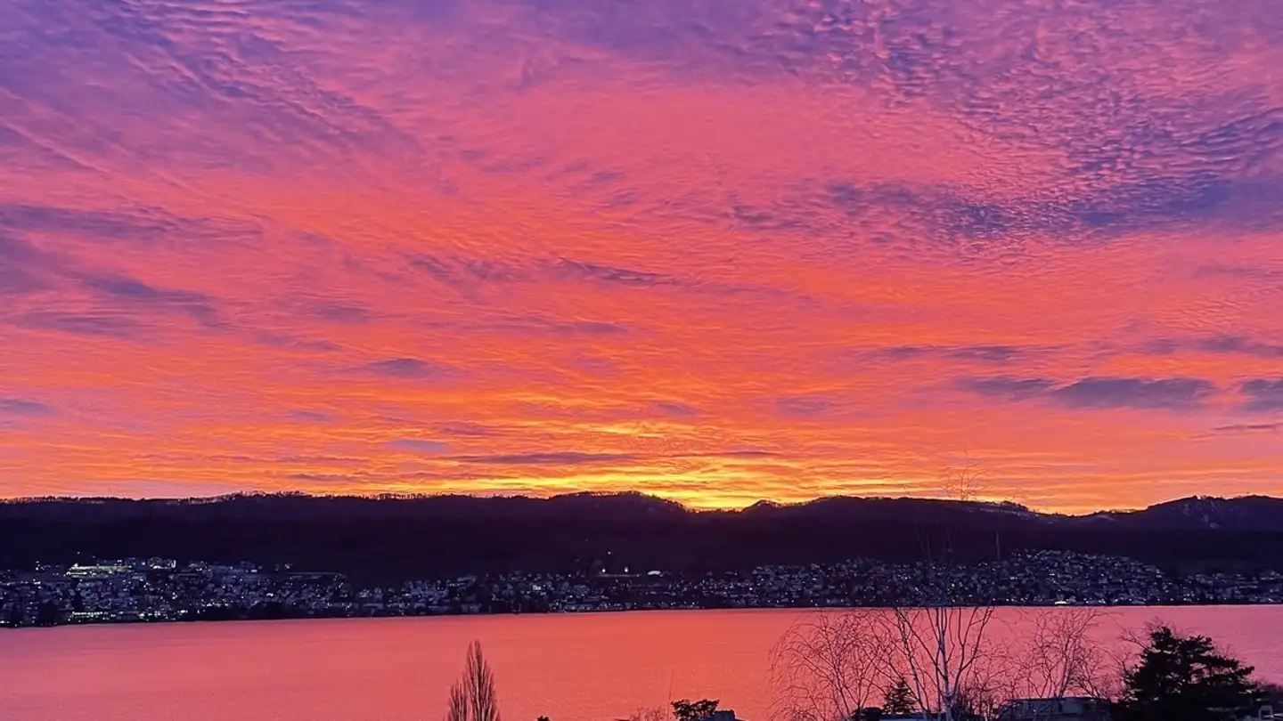 Single room for rent - 8706 Meilen - Photo 2