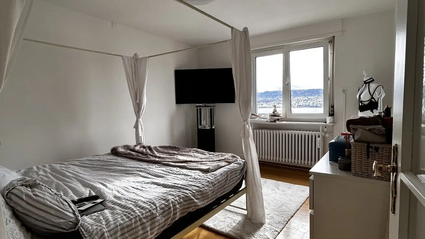 Single room for rent - 8706 Meilen - Photo 3