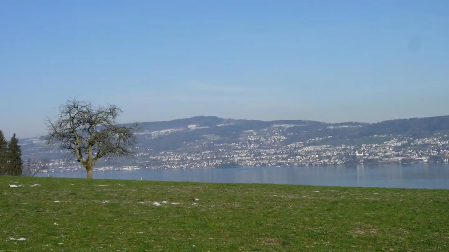 Appartement à louer - Reidholzstrasse 25, 8805 Richterswil