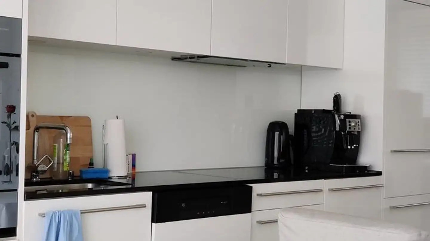 Appartement meublé à louer - Feldpark, 6300 Zug - Photo 3