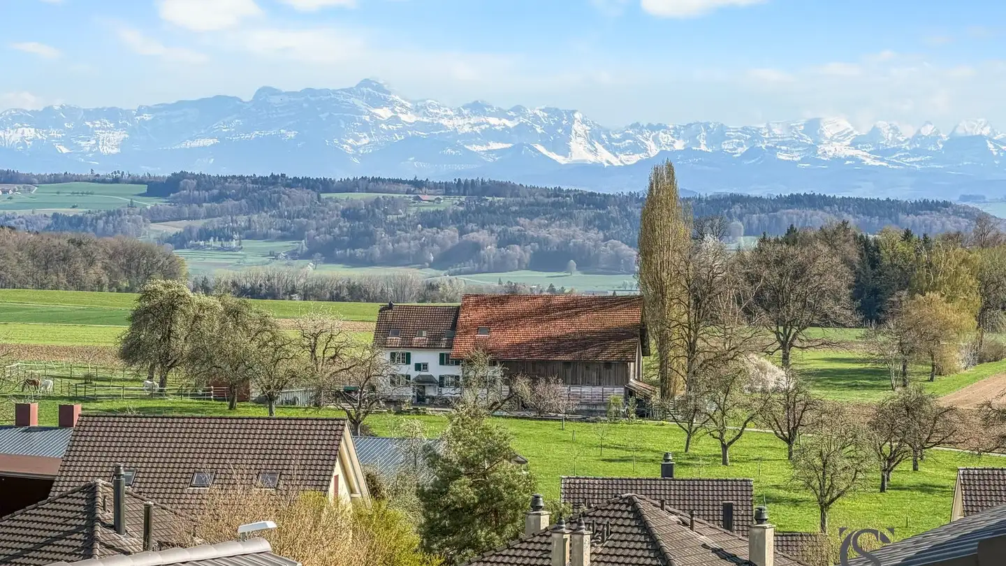 Einfamilienhaus kaufen - 8558 Raperswilen