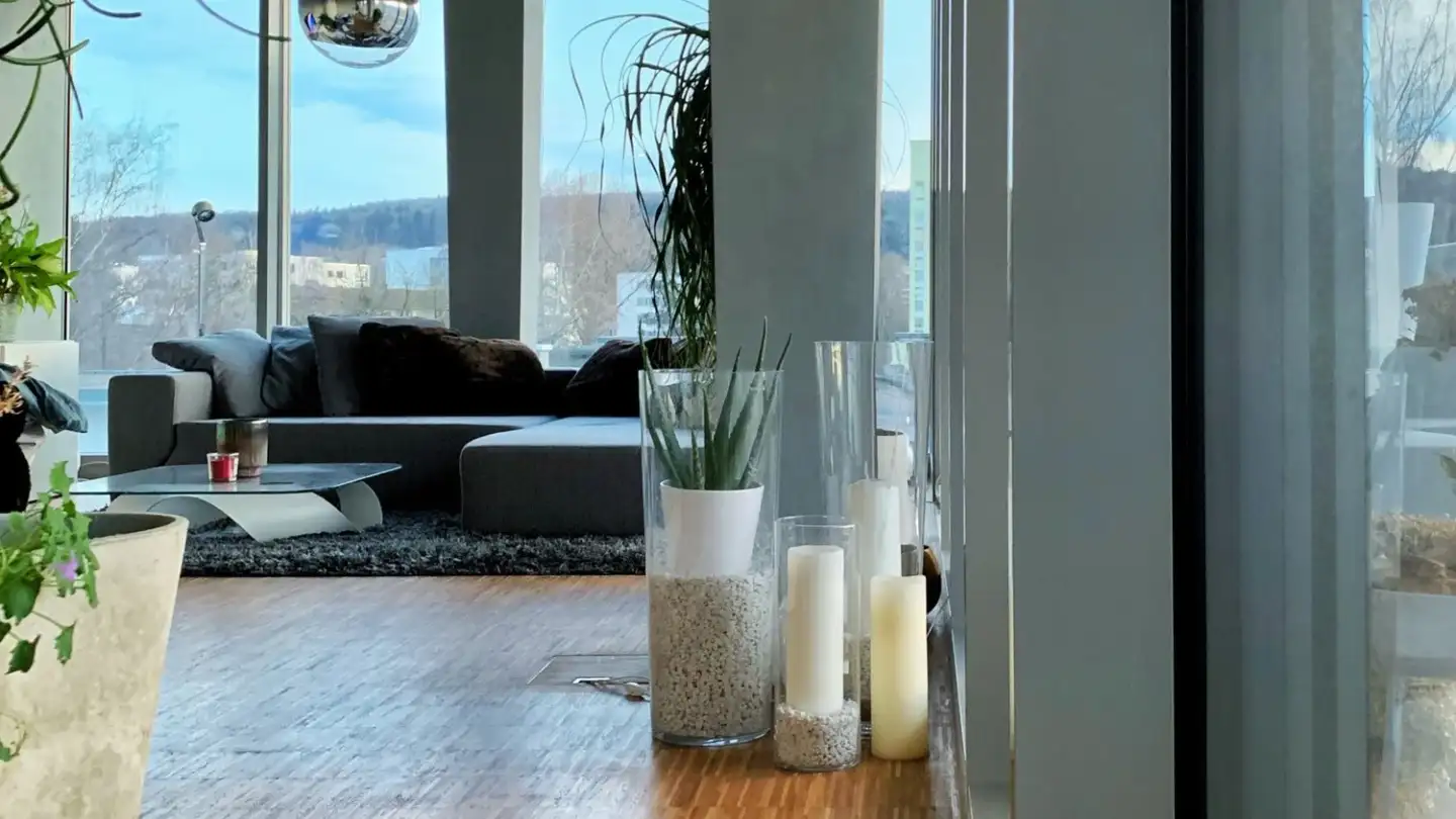 Loft in affitto - Grosswiesenstrasse 165, 8051 Zürich - Foto 3