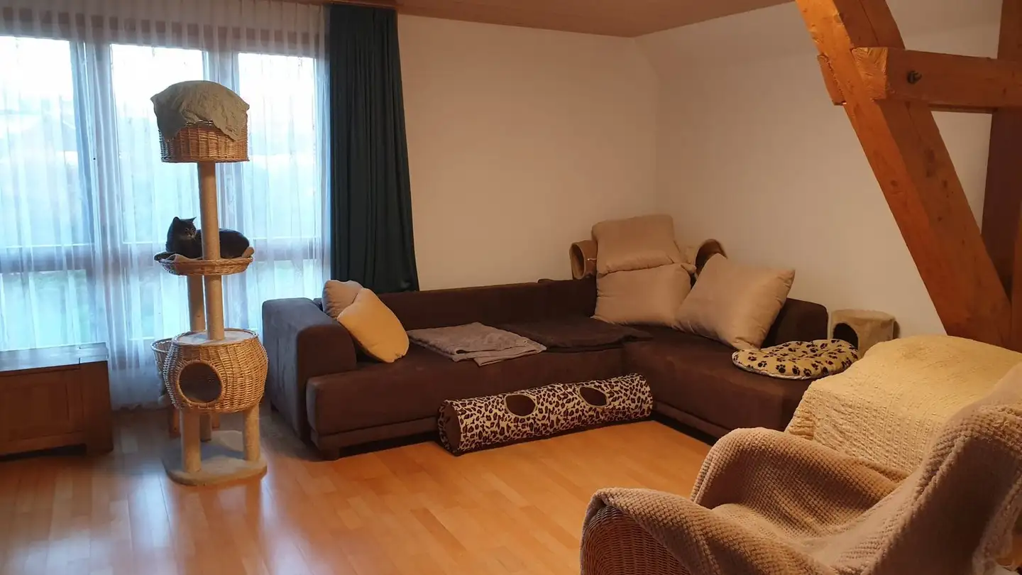 Appartamento in affitto - 3303 Jegenstorf - Photo 4