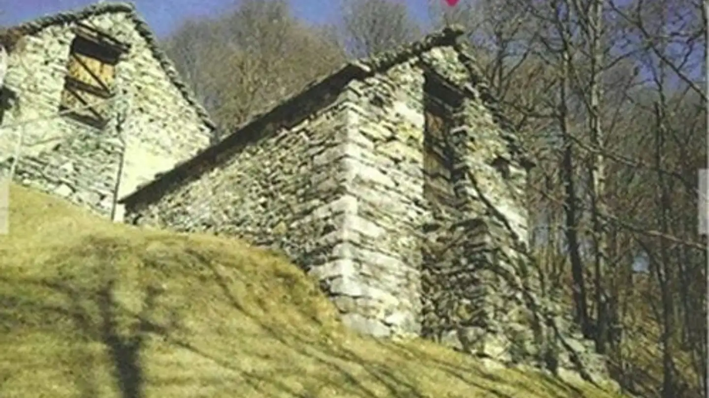 Einfamilienhaus kaufen - Via Costa Sopra Borgnone, 6658 Borgnone