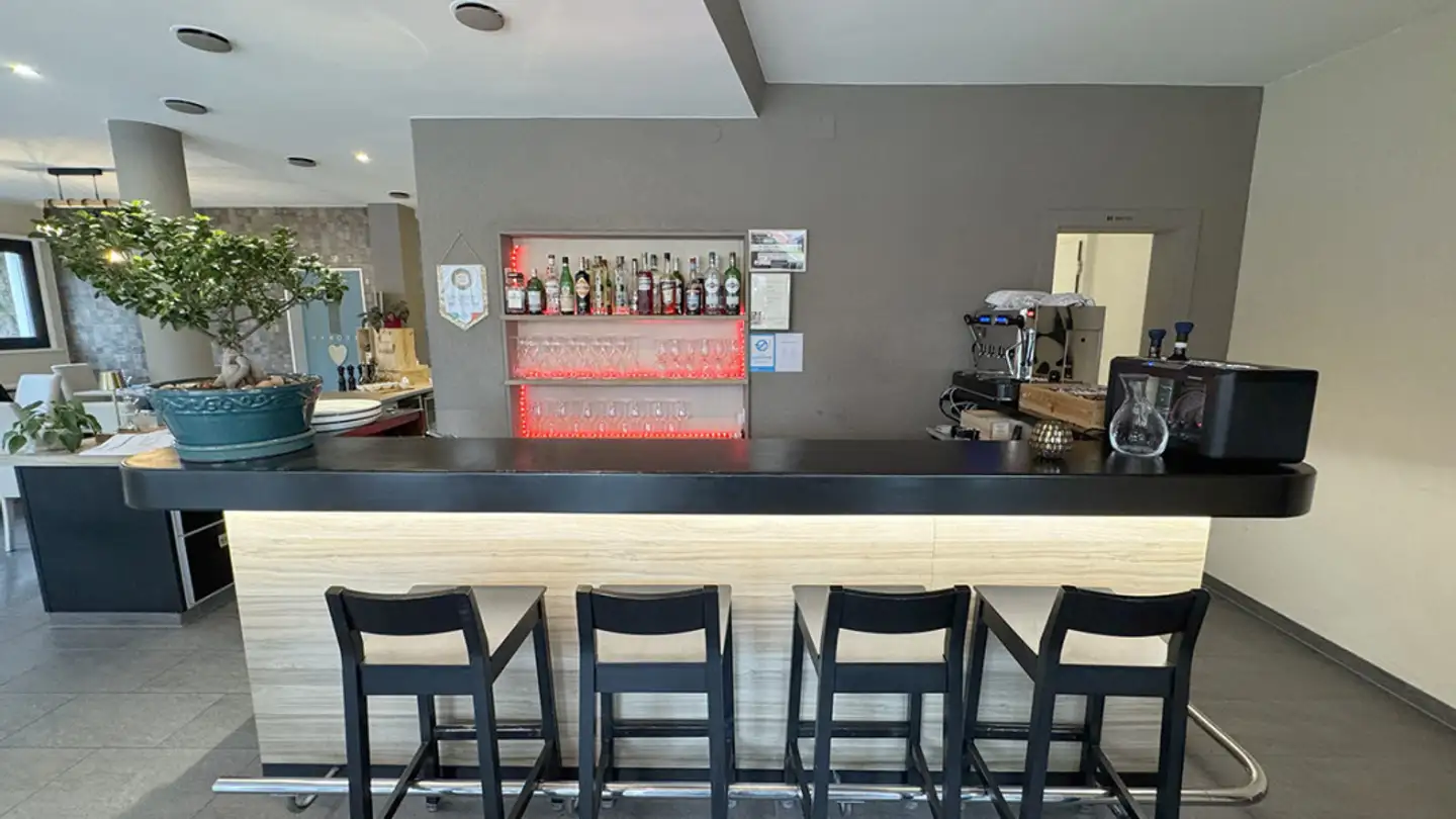 Hotel in affitto - Avenue De La Vallonnette 24, 1012 Lausanne - Photo 4