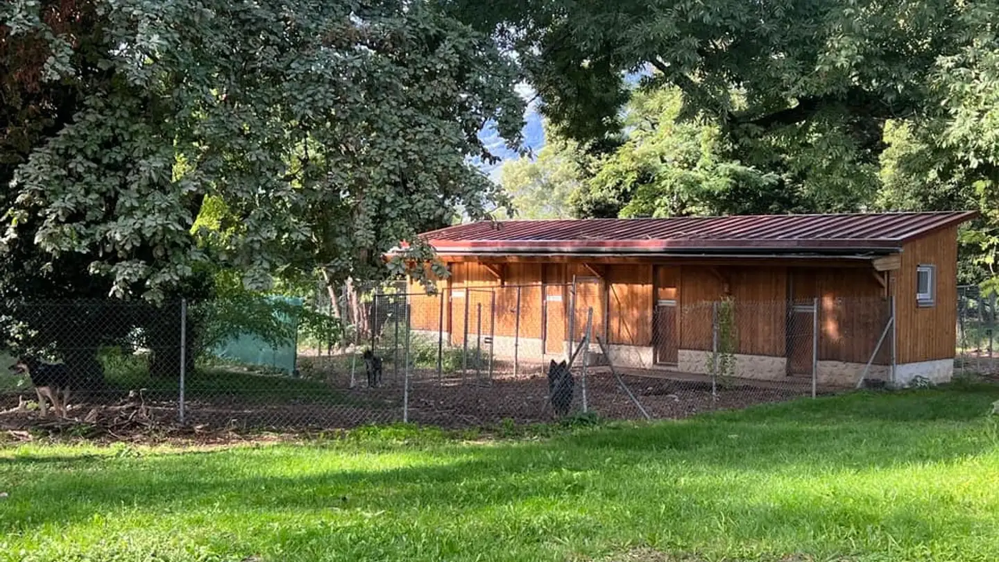 Commercial for sale - 1880 Bex