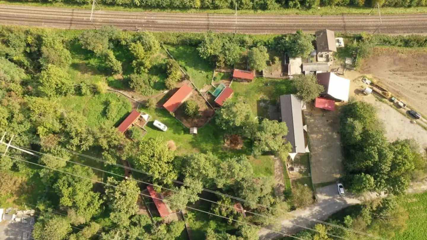 Commercial for sale - 1880 Bex - Photo 4