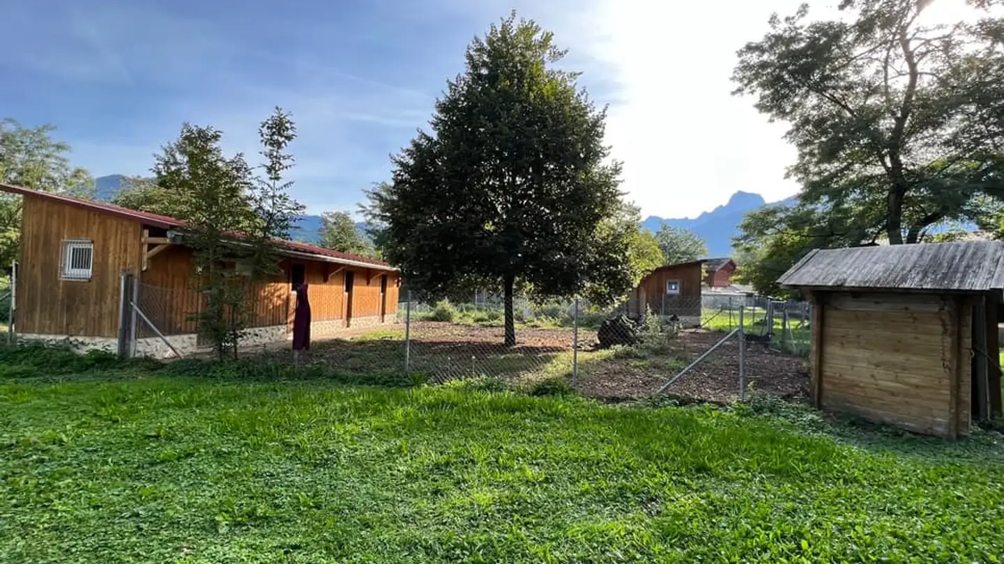 Commercial for sale - 1880 Bex - Photo 2