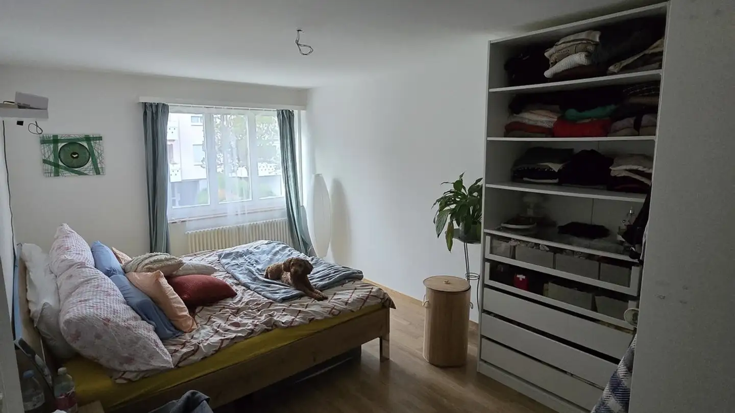 Appartamento in affitto - Zedtwitzweg 3, 3626 Hünibach - Foto 3