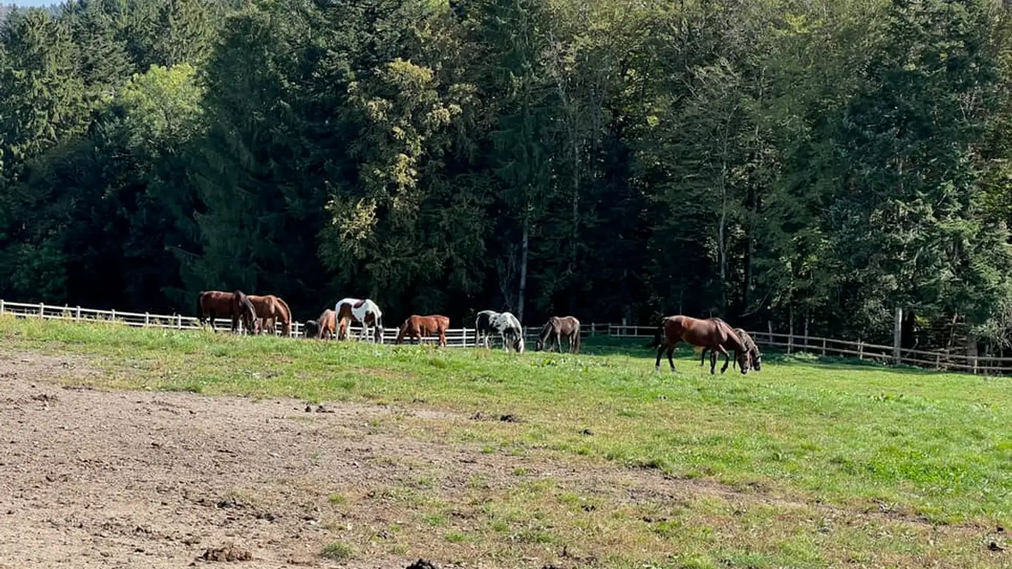 Einfamilienhaus kaufen - 1053 Bretigny-sur-Morrens - Foto 4