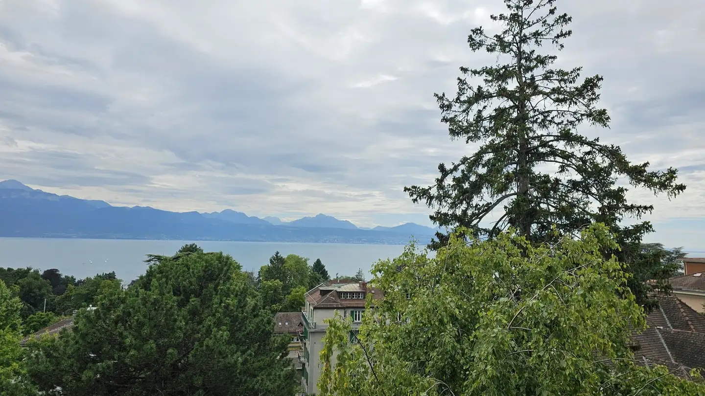 Stanza singola in affitto - Chemin De Montolivet 19, 1006 Lausanne - Photo 2