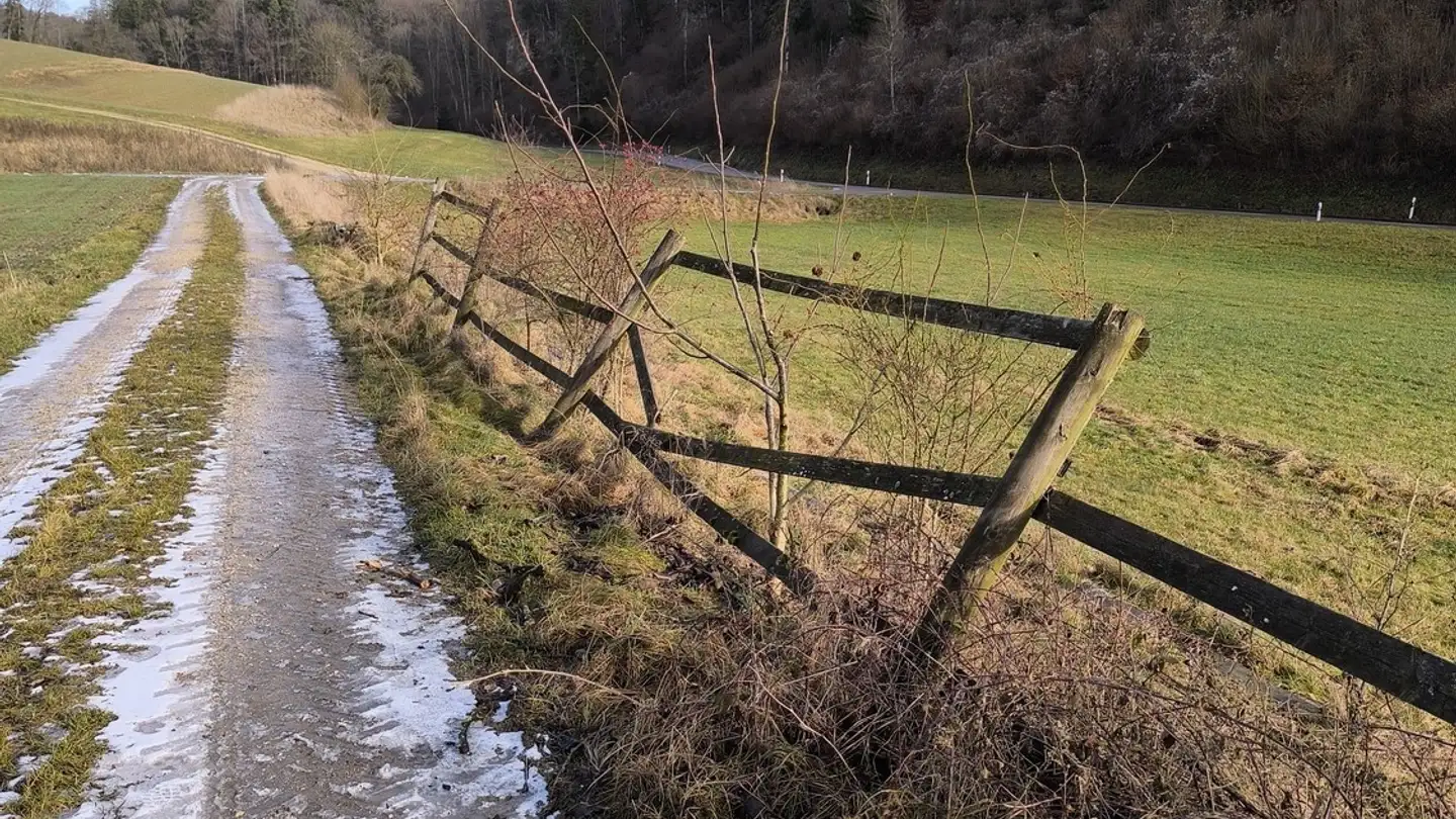 Einfamilienhaus kaufen - 8200 Schaffhausen - Foto 3