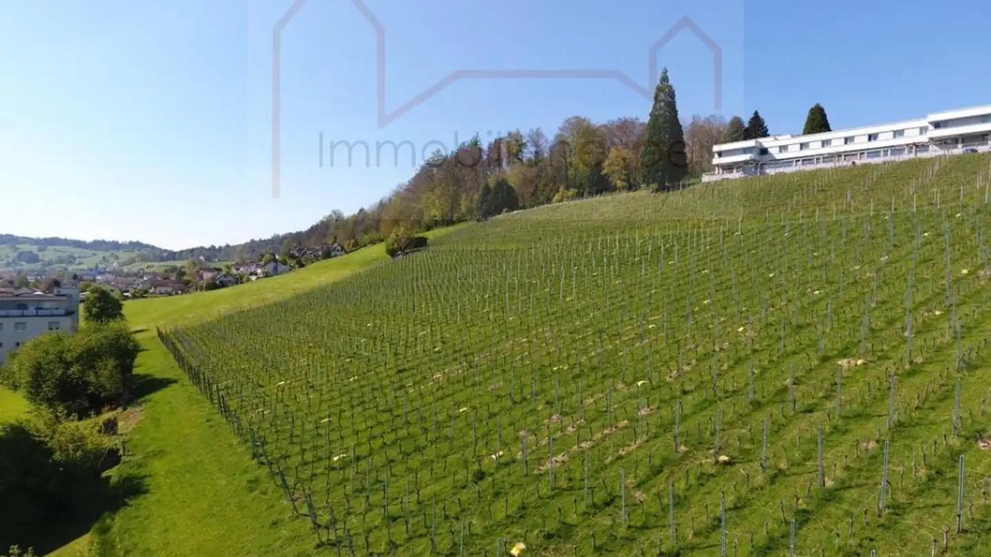 Apartment for rent - 8730 Uznach - Photo 2