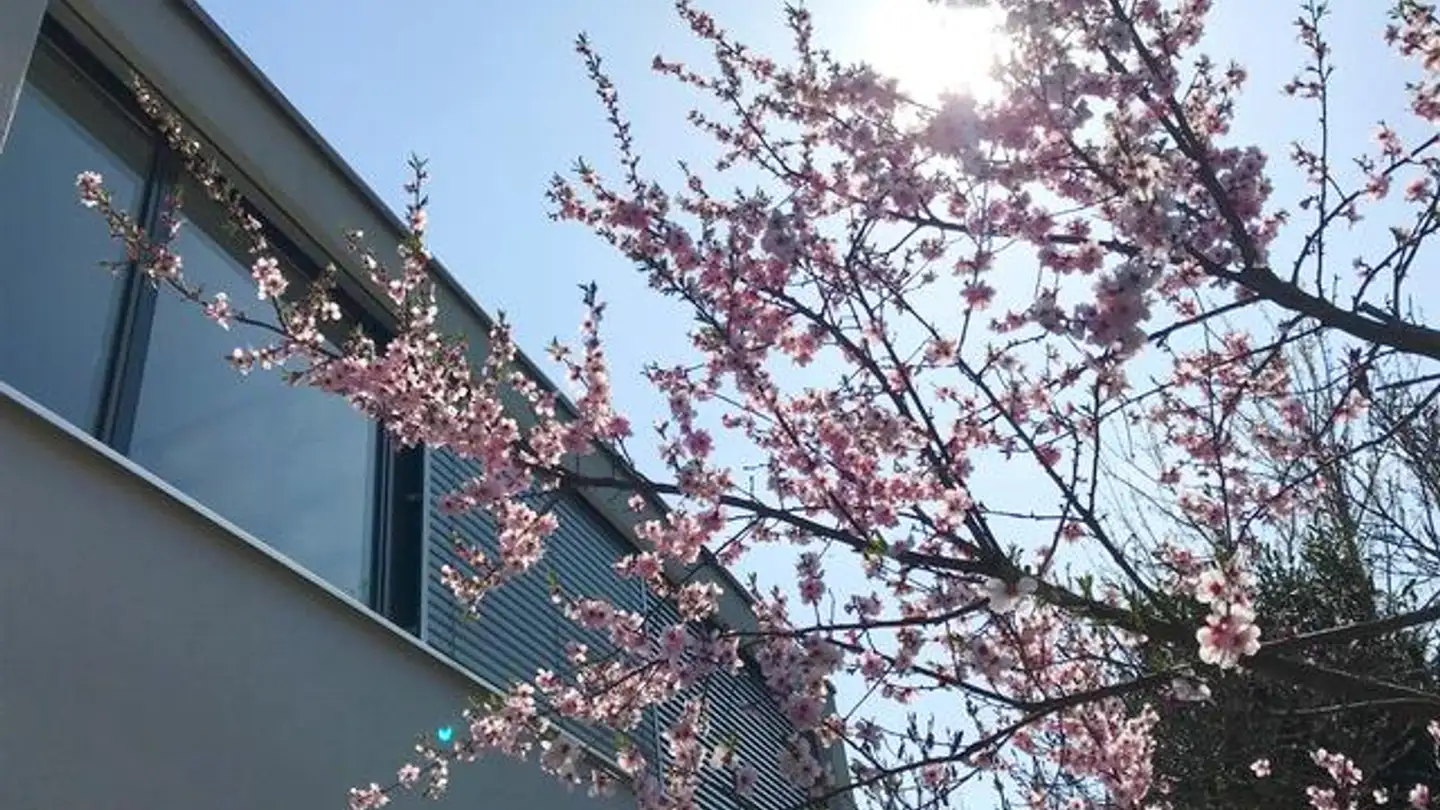 Appartement à louer - Leistrasse 34, 5242 Birr - Photo 2