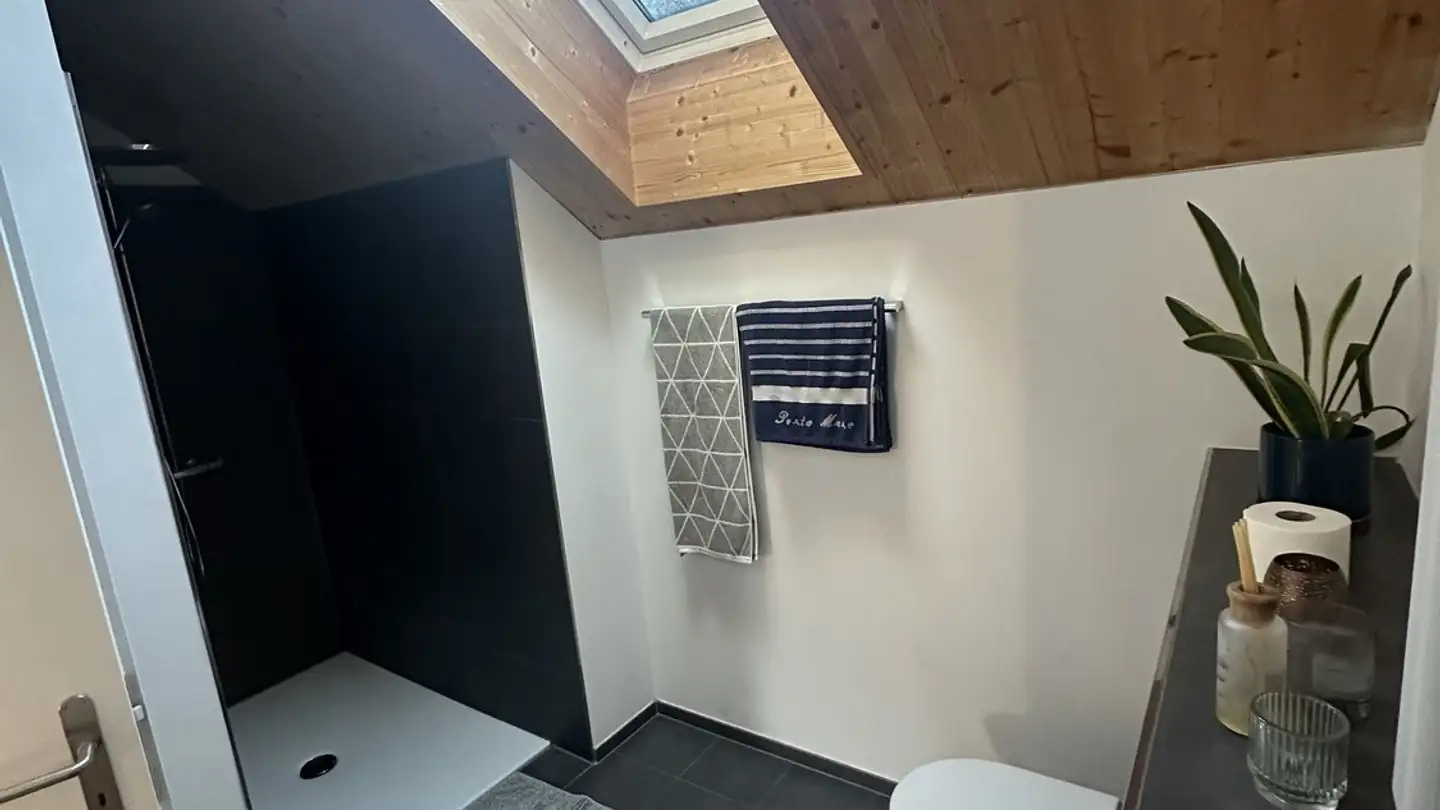 Stanza singola in affitto - Badenerstrasse 144, 8004 Zürich - Foto 4