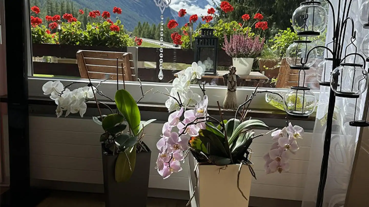 Appartement à louer - Flurstrasse 121, 3928 Randa
