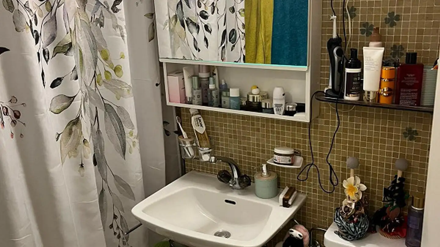 Appartamento in affitto - Ringelbergstrasse, 9000 St. Gallen - Foto 4