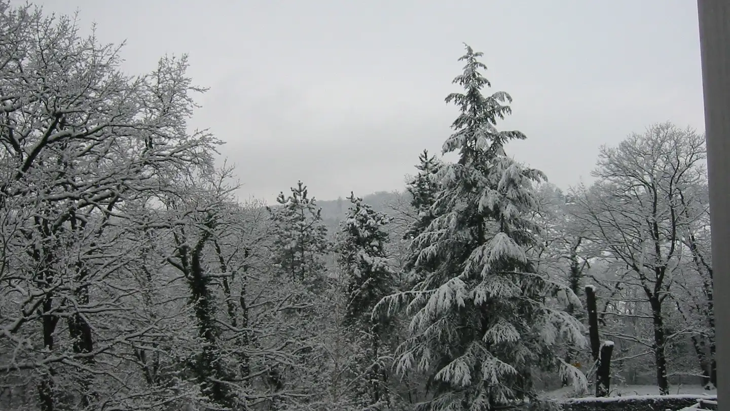 Appartamento in vendita - Avenue Du Lignon 9, 1219 Le Lignon - Photo 2