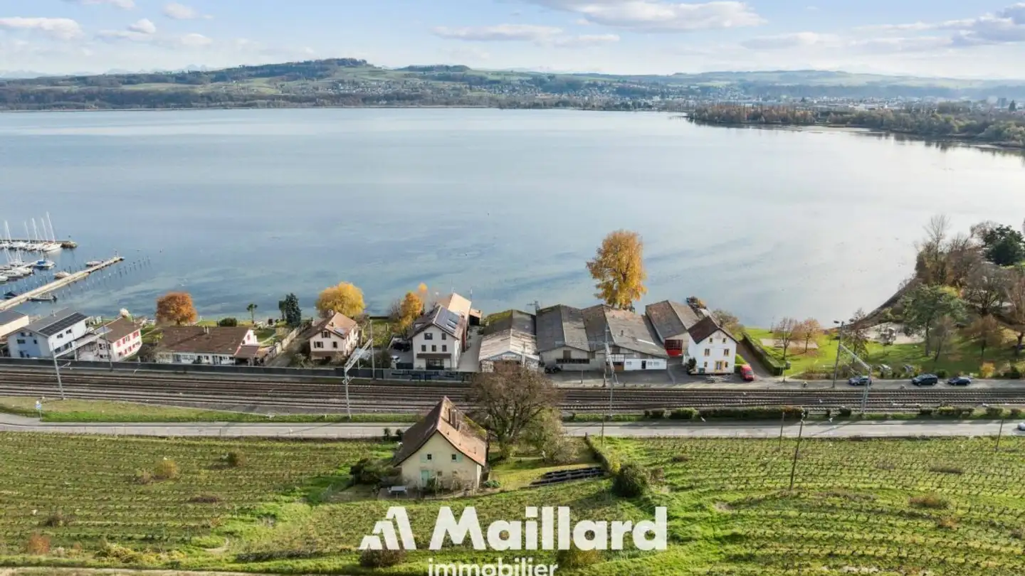 Maison individuelle à vendre - Avenue De La Gare, 1422 Grandson - Photo 2
