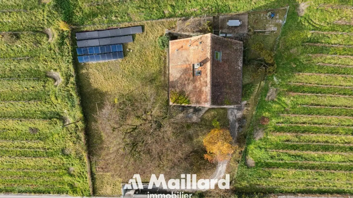 Maison individuelle à vendre - Avenue De La Gare, 1422 Grandson - Photo 4