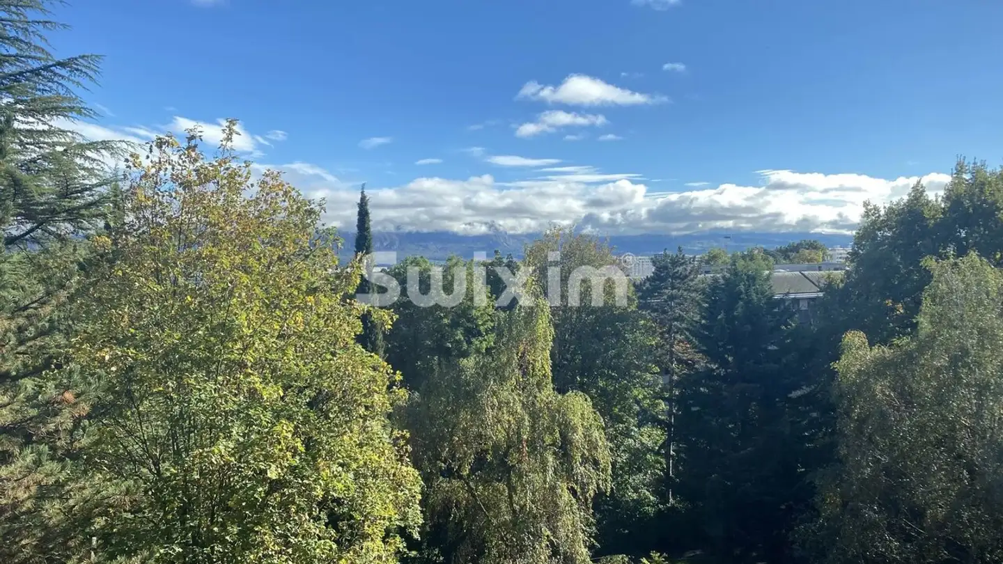 Wohnung kaufen - Chemin Du Petit-Saconnex, 1209 Genève